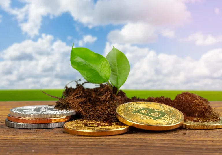 Top 5 Eco-Friendly NFTs to Invest On